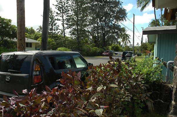 HI50 S5 Waimanalo 41-849LaumiloSt ARunyan DSC 2931