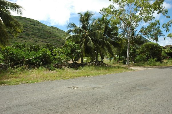 HI50 S5 BAMIENT DSC 3178