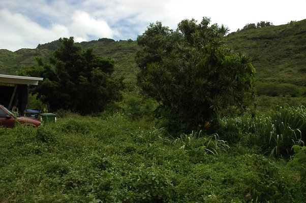 HI50 S5 BAMIENT DSC 3187