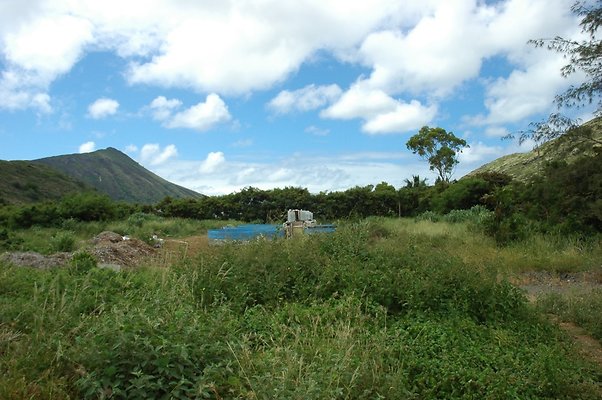 HI50 S5 BAMIENT DSC 3189