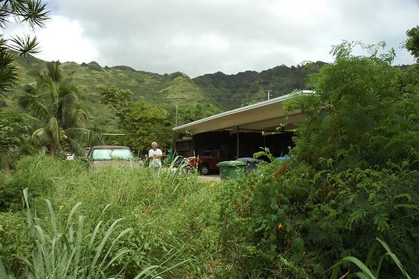 HI50 S5 BAMIENT DSC 3192