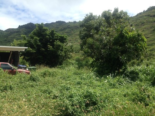 HI50 S5 BAMIENT 2014-08-22 10.47.50