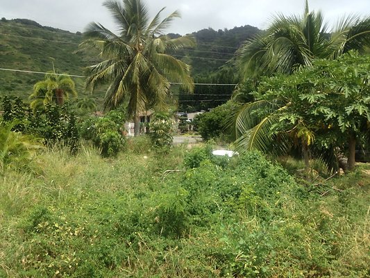 HI50 S5 BAMIENT 2014-08-22 10.47.44