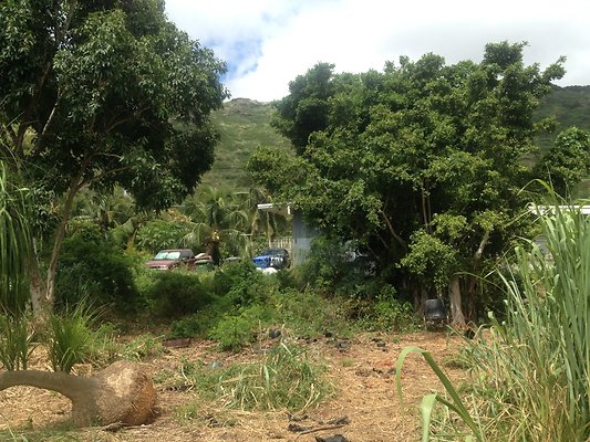 HI50 S5 BAMIENT 2014-08-22 10.50.22