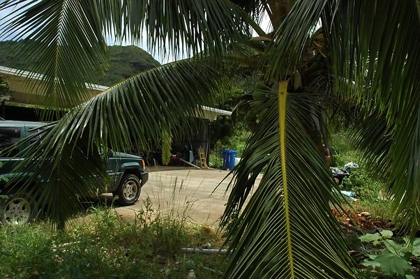 HI50 S5 BAMIENT DSC 3181