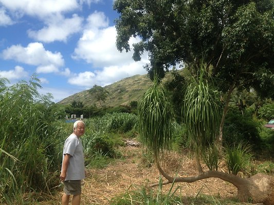 HI50 S5 BAMIENT 2014-08-22 10.50.20