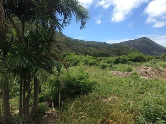 HI50 S5 BAMIENT 2014-08-22 10.47.27