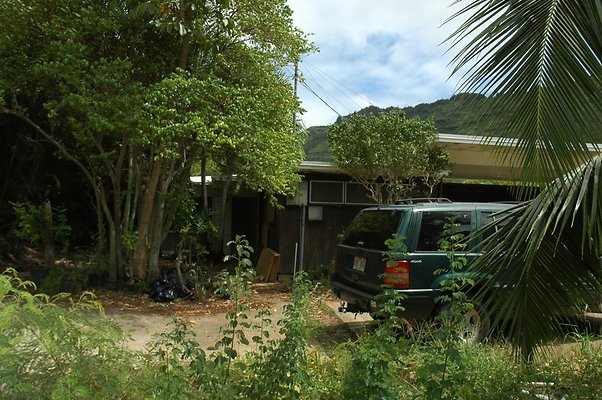 HI50 S5 BAMIENT DSC 3180