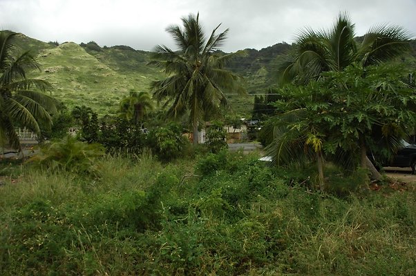 HI50 S5 BAMIENT DSC 3185