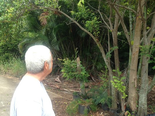 HI50 S5 BAMIENT 2014-08-22 10.45.07