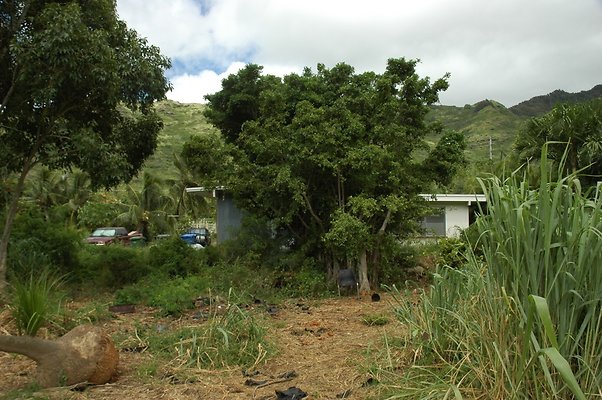 HI50 S5 BAMIENT DSC 3195