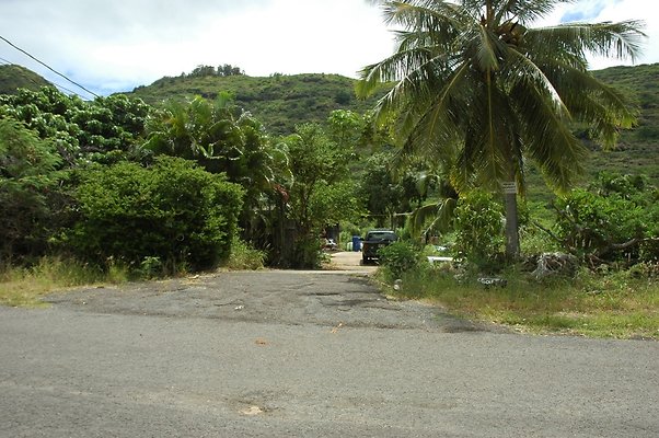 HI50 S5 BAMIENT DSC 3177