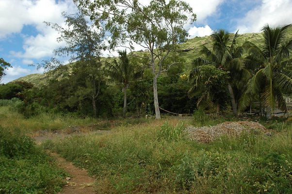 HI50 S5 BAMIENT DSC 3190