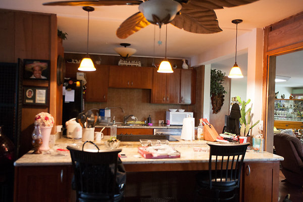 Kaneohe KBSC 46169OhalaSt Eaton-5