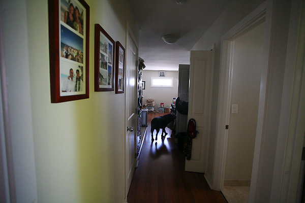 Kapahulu 3142Hayden Iwasaki-16