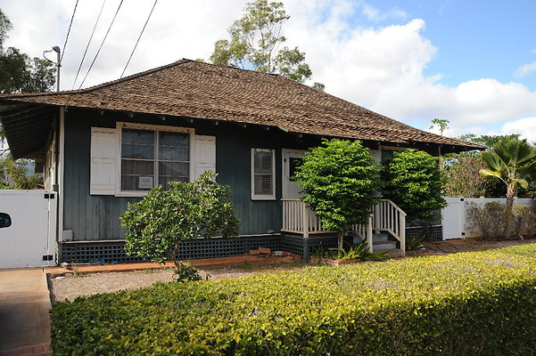 EWE Charlton 911110 Nale