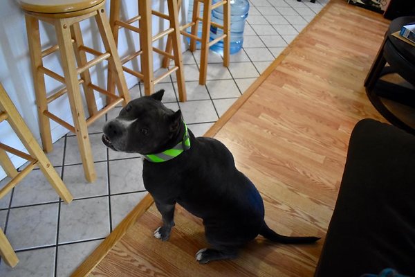 th Wailana-Yamaguchi Residence    1101