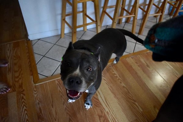 th Wailana-Yamaguchi Residence    1102