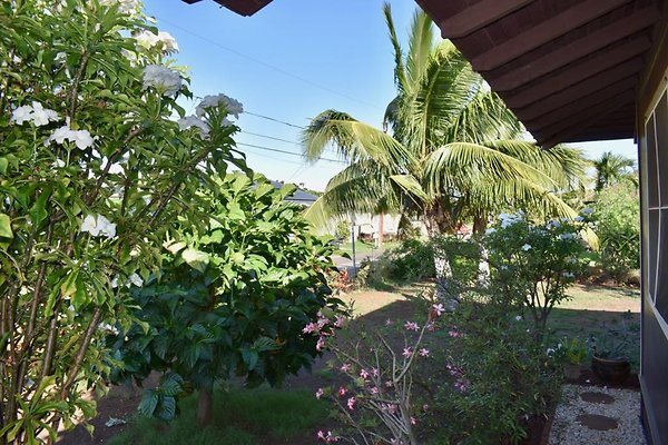 th Nuss Residence    72