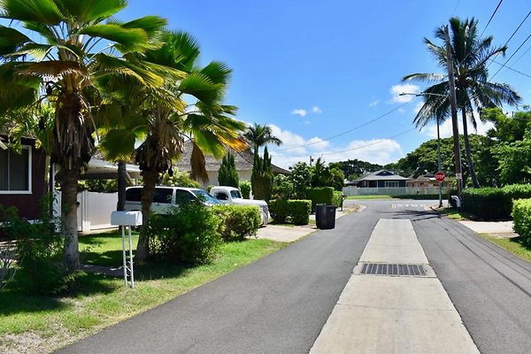 th Pinho Residence    1000