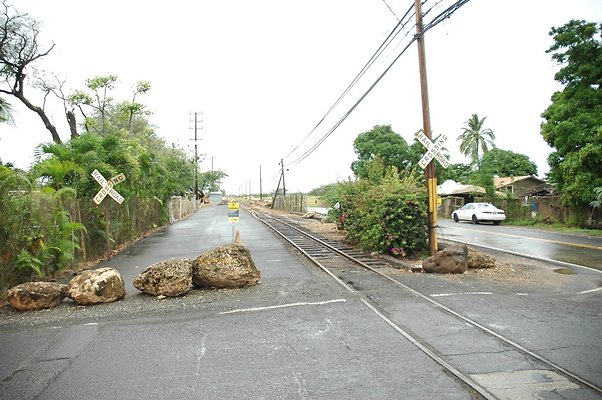 th DSC 6142 backgate