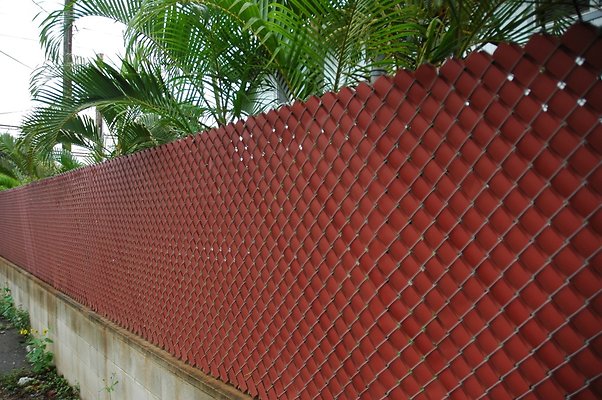 th DSC 6141 backgate