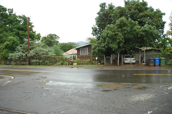 th DSC 6143 backgate