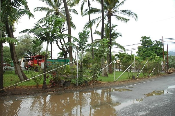 th DSC 6139 backgate