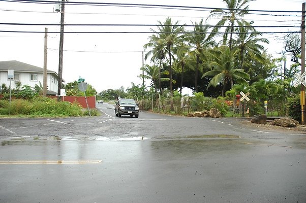 th DSC 6146 backgate