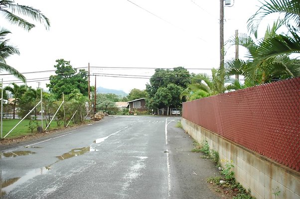 th DSC 6140 backgate