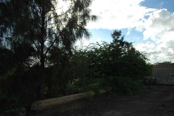 HI50 S5 Frank Coluccio Construction DSC 3496