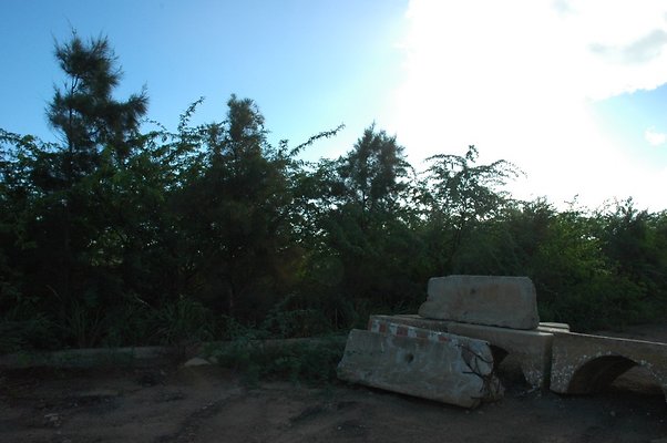 HI50 S5 Frank Coluccio Construction DSC 3499