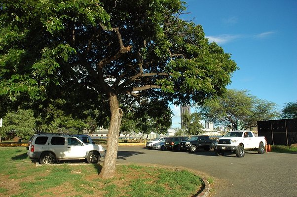 HI50 S5 Frank Coluccio Construction DSC 3607