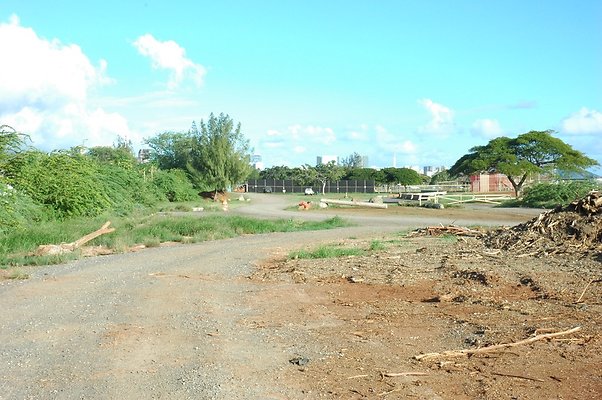 HI50 S5 Frank Coluccio Construction DSC 3587