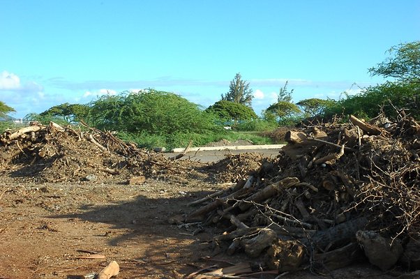 HI50 S5 Frank Coluccio Construction DSC 3588