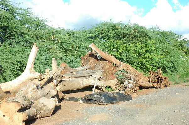 HI50 S5 Frank Coluccio Construction DSC 3586