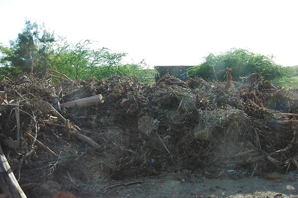 HI50 S5 Frank Coluccio Construction DSC 3583