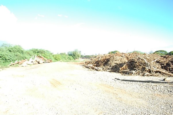 HI50 S5 Frank Coluccio Construction DSC 3581