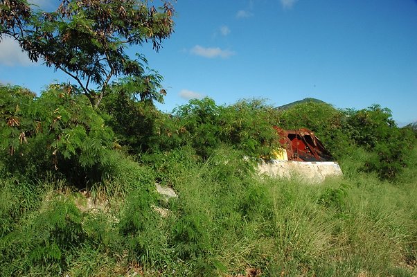 HI50 S5 HKMarina DSC 3814