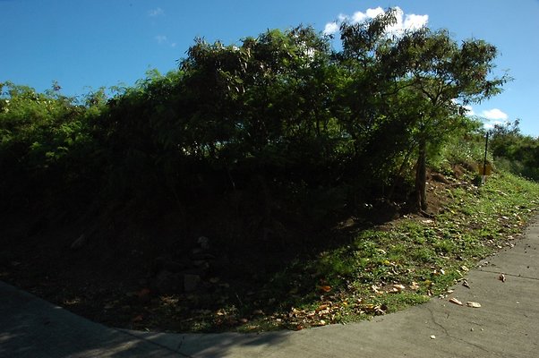 HI50 S5 HKMarina DSC 3846