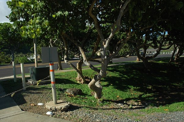 HI50 S5 HKMarina DSC 3841