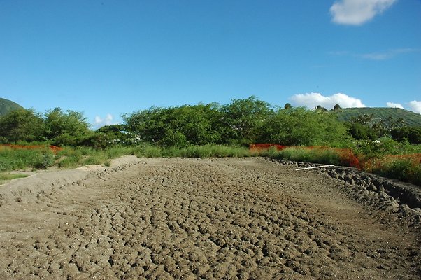 HI50 S5 HKMarina DSC 3827