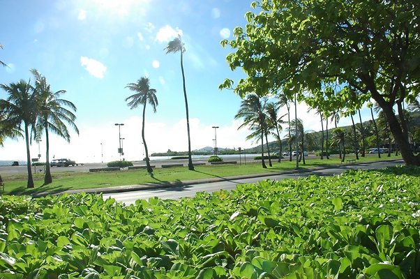 10-HI50 S5 HKMarina DSC 3874-13