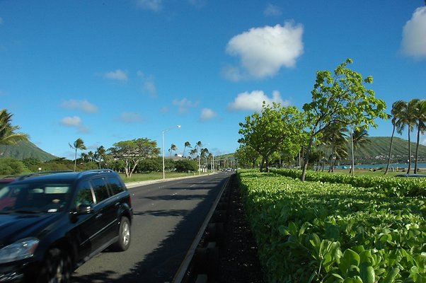 8-HI50 S5 HKMarina DSC 3872-11