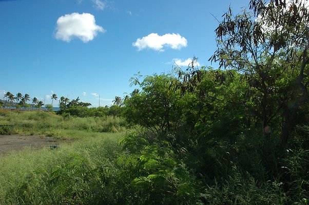 HI50 S5 HKMarina DSC 3816