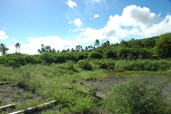 HI50 S5 HKMarina DSC 3835