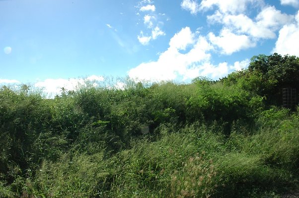 HI50 S5 HKMarina DSC 3853