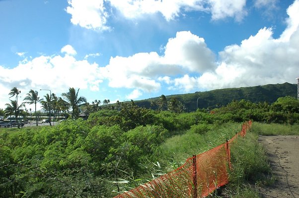 HI50 S5 HKMarina DSC 3819