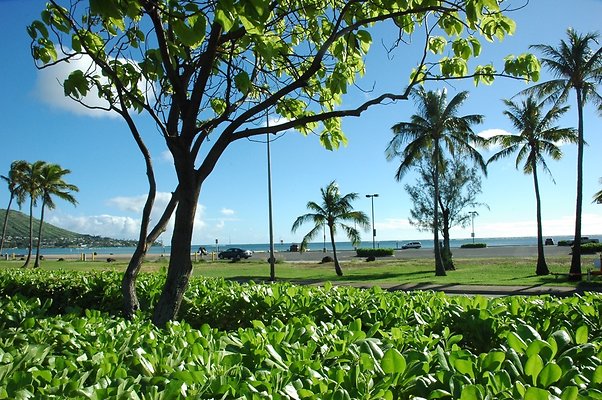 9-HI50 S5 HKMarina DSC 3873-12