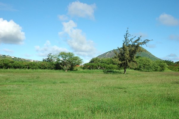 HI50 S5 HKMarina DSC 3